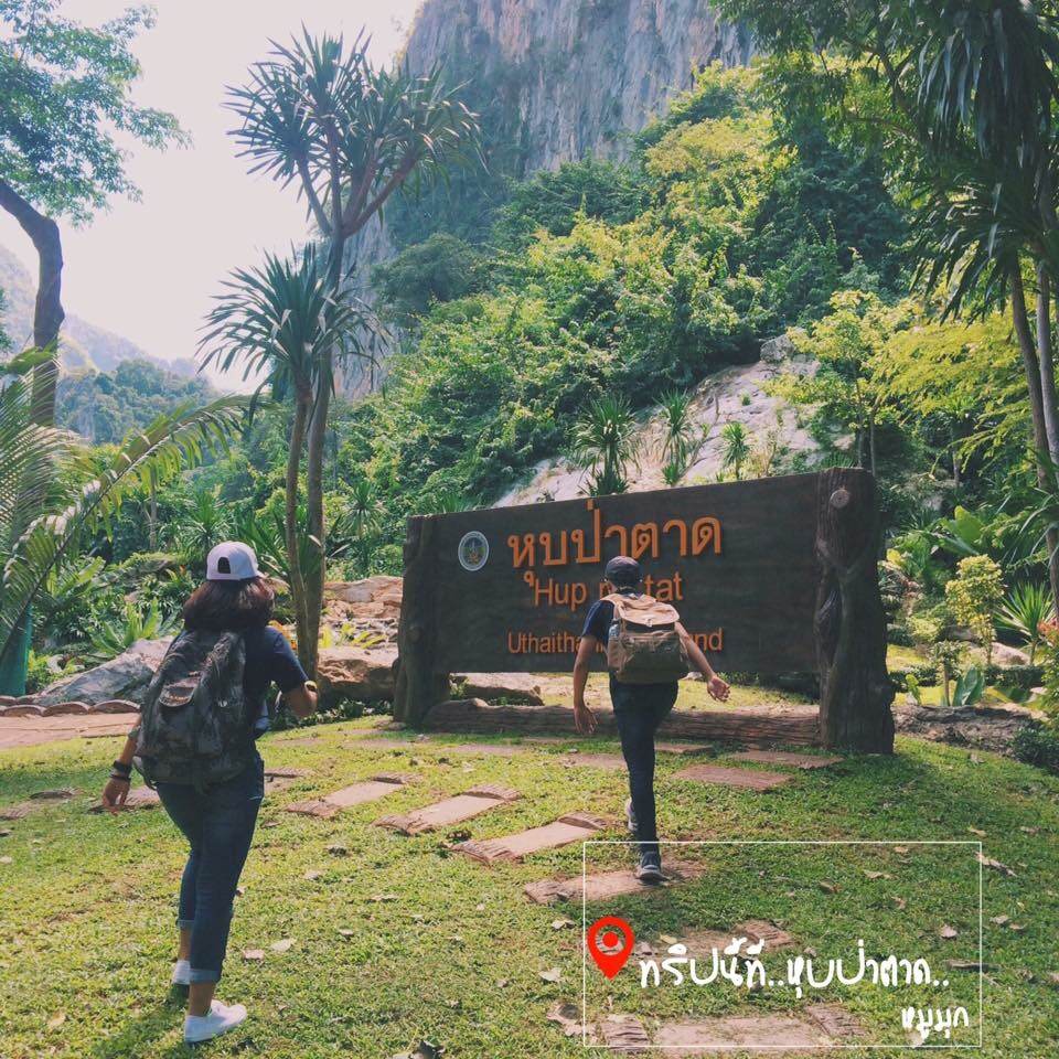 ทริปนี้ที่ "หุบป่าตาด"