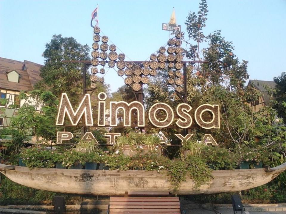 Mimosa Pattaya