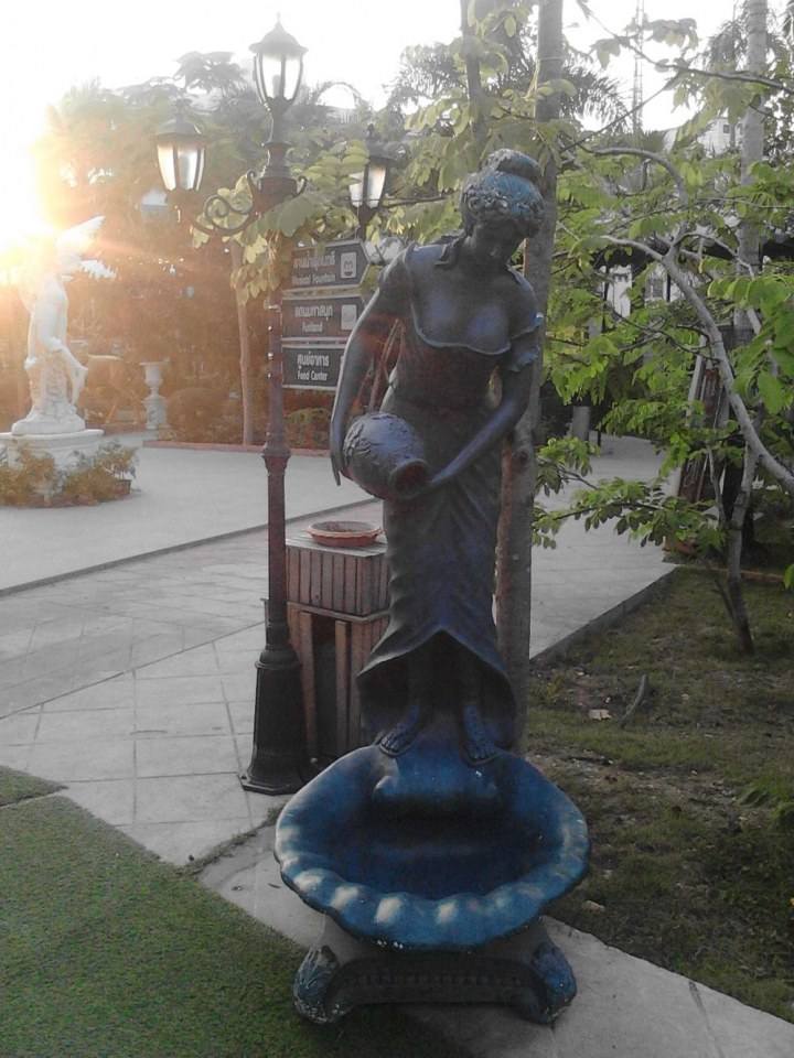 Mimosa Pattaya