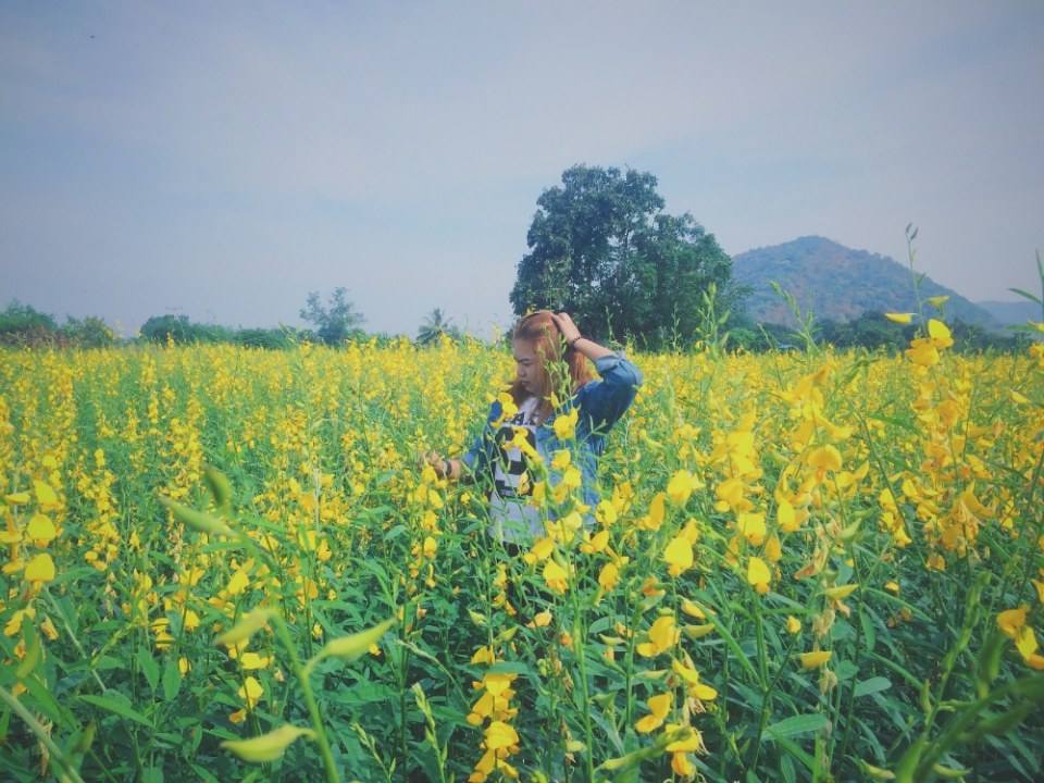 วันหยุดที่ไร่ธรรมชัย อ.ตากฟ้า นครสวรรค์