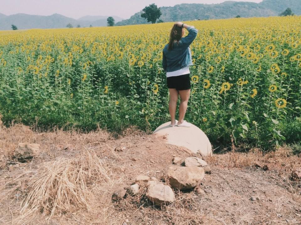 วันหยุดที่ไร่ธรรมชัย อ.ตากฟ้า นครสวรรค์