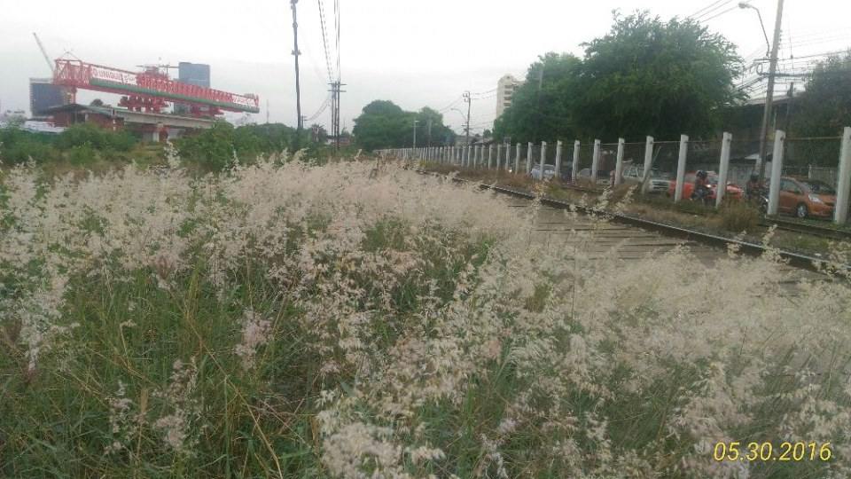 สถานีรถไฟชุมทางบางซื่อ