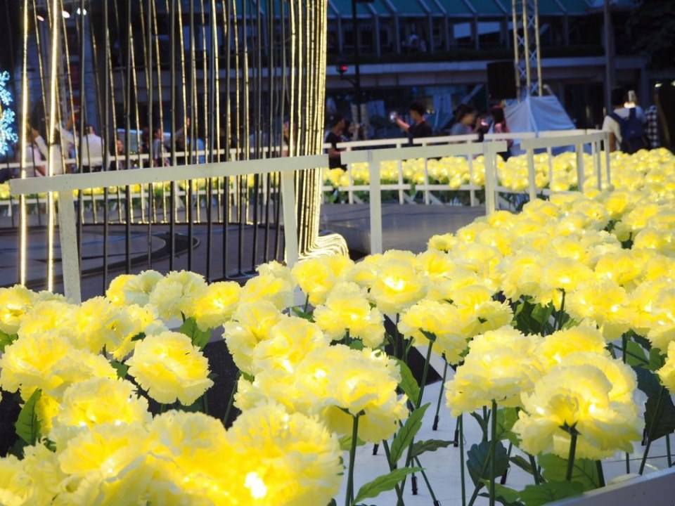 รวมรูปเด็ด! มุุมสุดจี๊ดถ่ายไฟหน้า CentralWorld