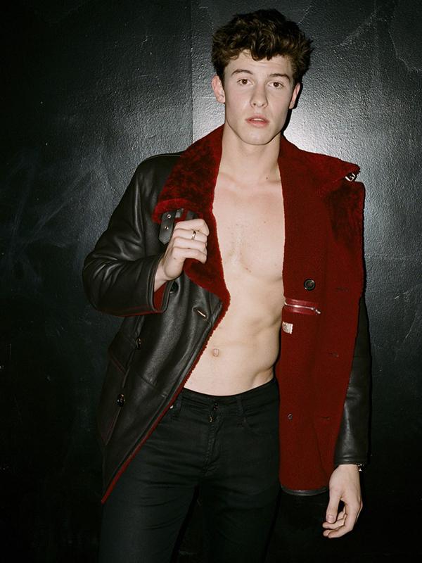 Shawn Mendes นักร้องแคนนาเดี้ยนสุดหล่อ เสียงมีเสน่ห์