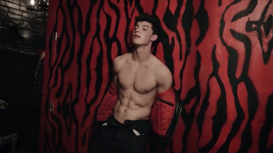 Shawn Mendes นักร้องแคนนาเดี้ยนสุดหล่อ เสียงมีเสน่ห์