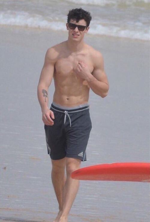 Shawn Mendes นักร้องแคนนาเดี้ยนสุดหล่อ เสียงมีเสน่ห์