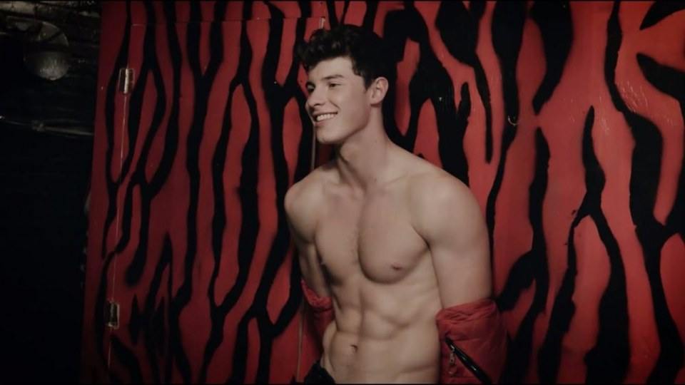 Shawn Mendes นักร้องแคนนาเดี้ยนสุดหล่อ เสียงมีเสน่ห์