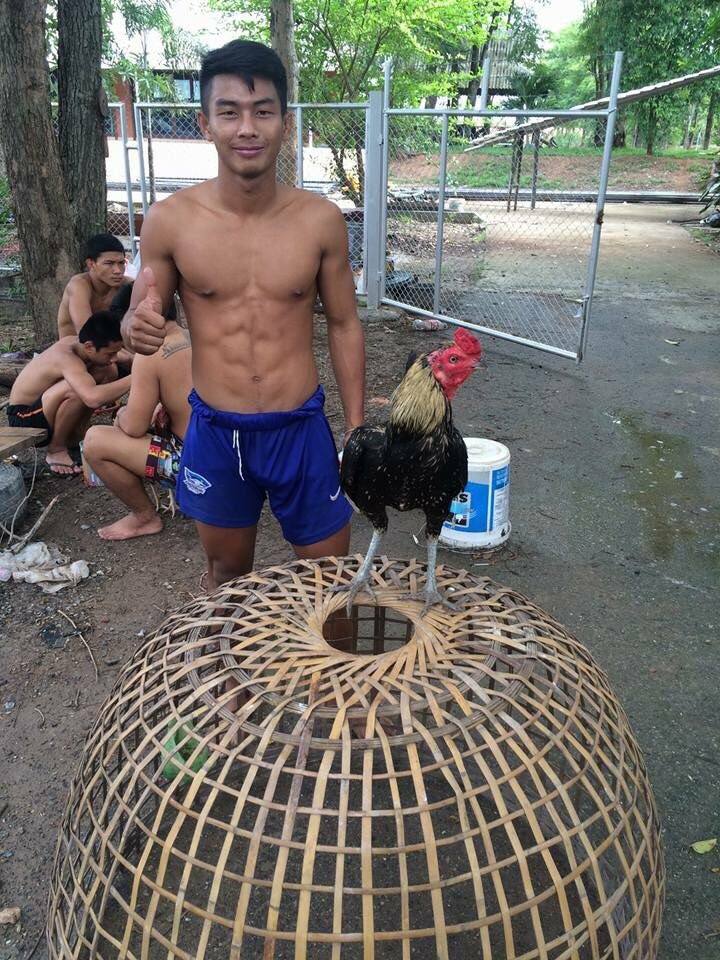 เลียก่อน-มวยโค้ก"