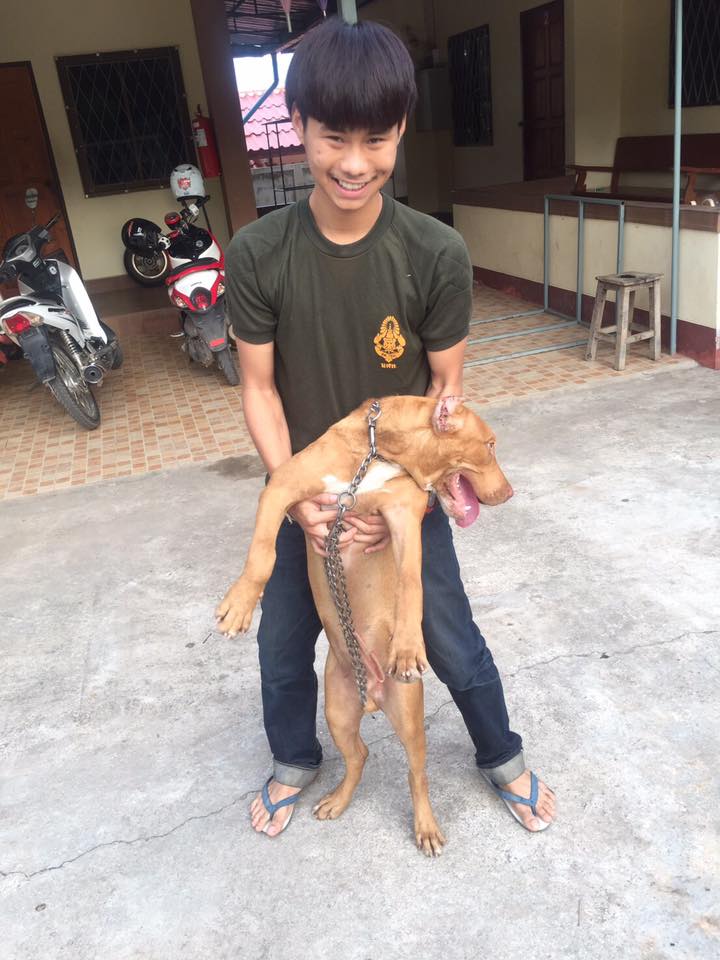 สายย่อ ขอว้าว # 7