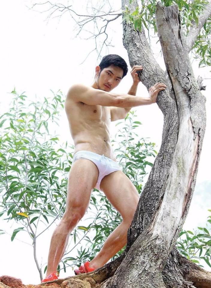 ยาบำรุงหัวใจ # 9