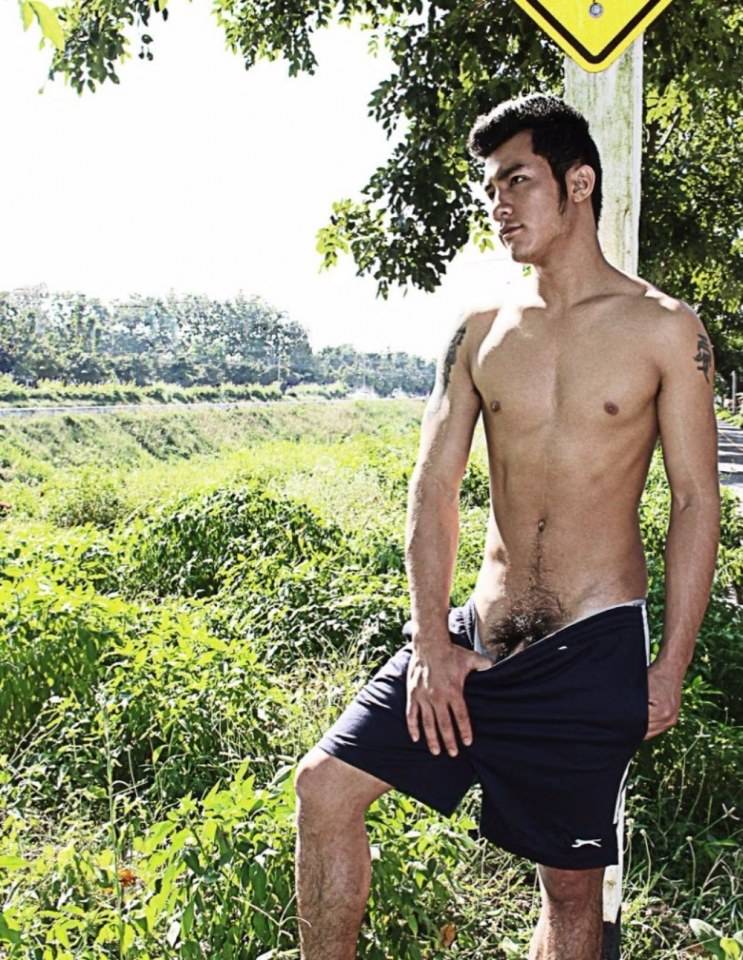 ยาบำรุงหัวใจ # 18