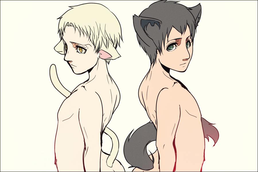 YAOI 381
