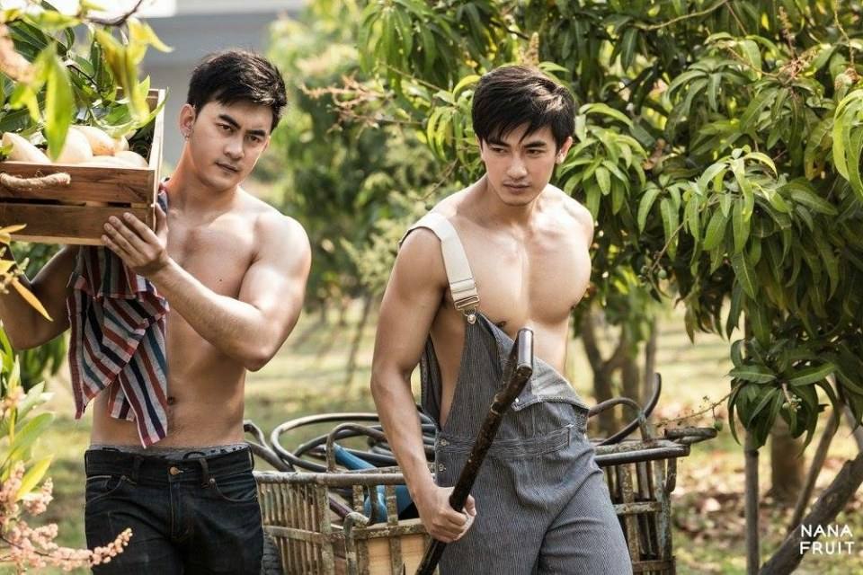 ทำสวนหน้าร้อน