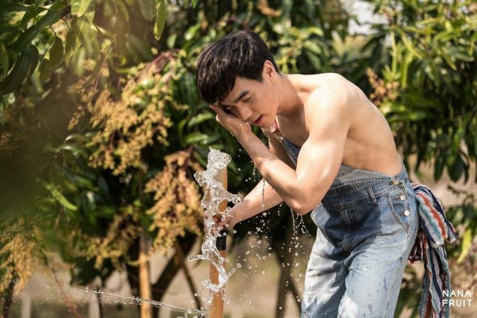 ทำสวนหน้าร้อน