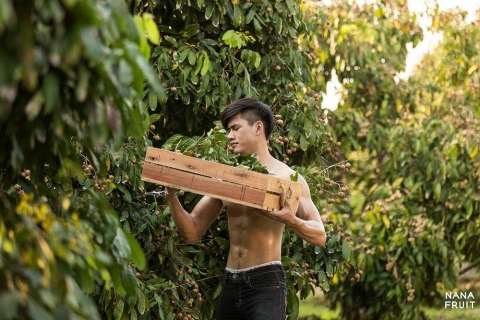 ทำสวนหน้าร้อน