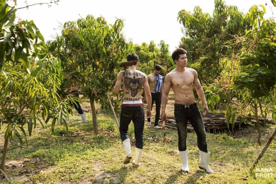 ทำสวนหน้าร้อน