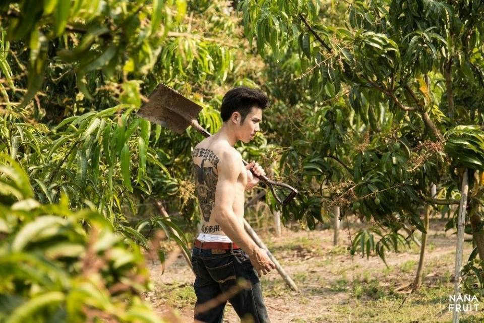 ทำสวนหน้าร้อน