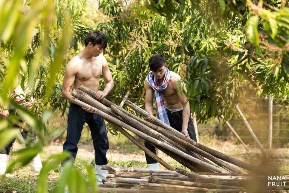 ทำสวนหน้าร้อน