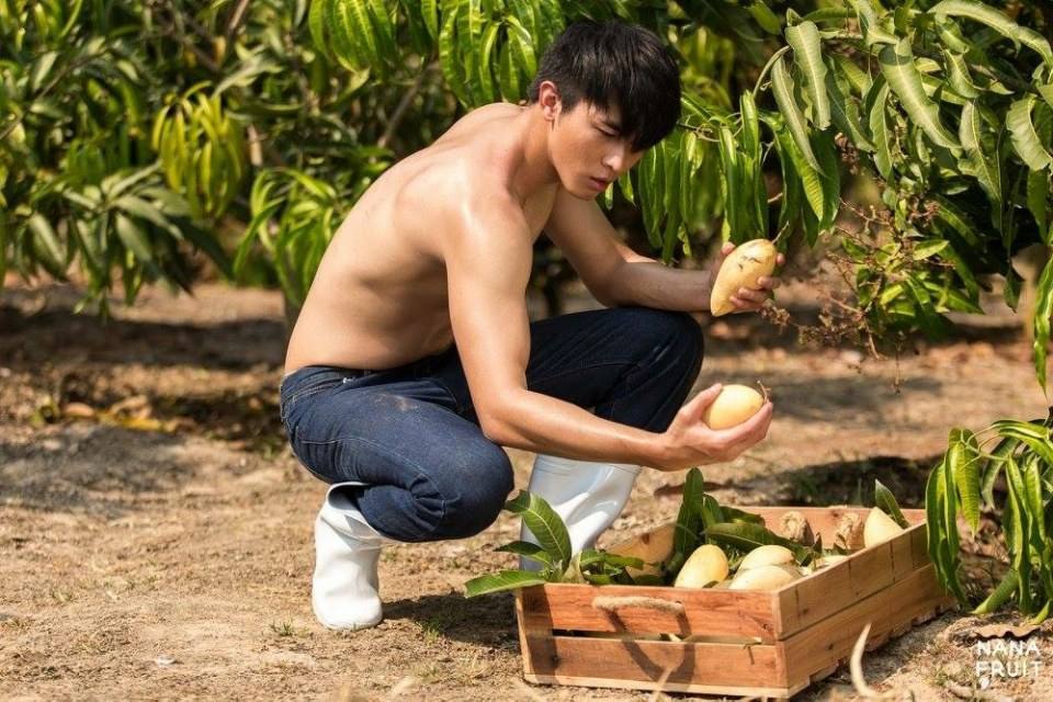 ทำสวนหน้าร้อน