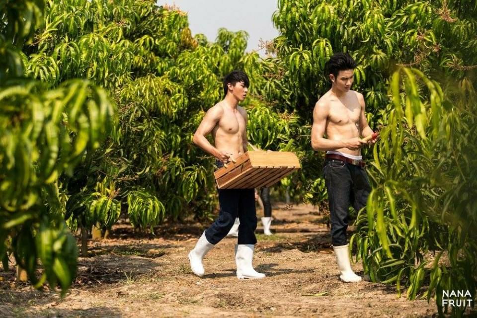 ทำสวนหน้าร้อน
