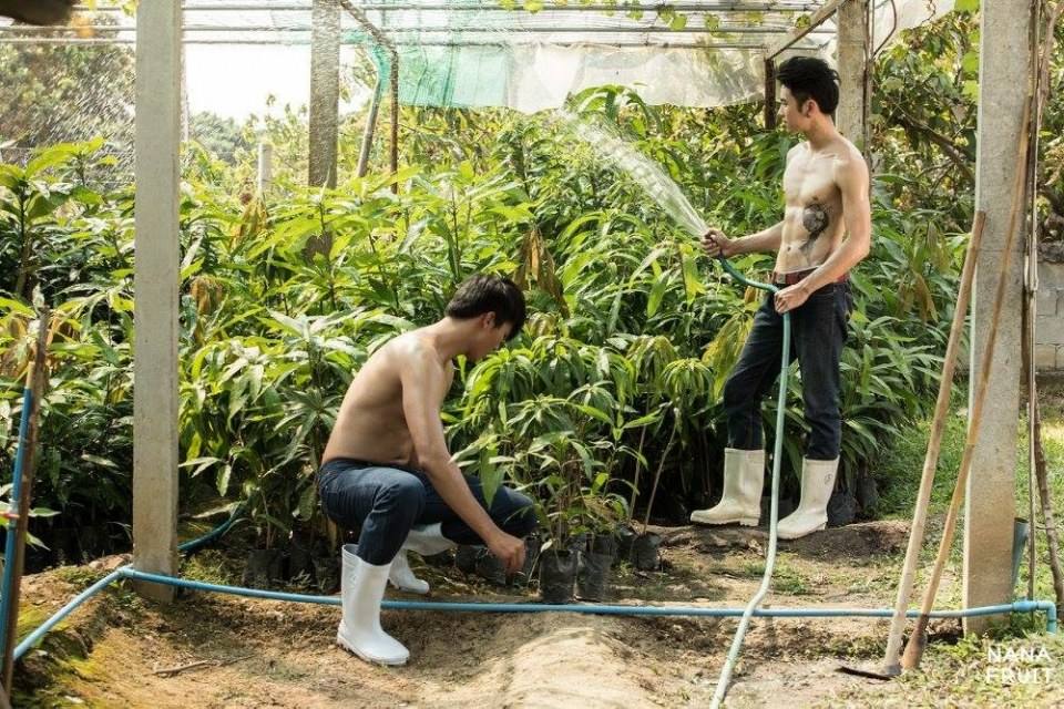 ทำสวนหน้าร้อน