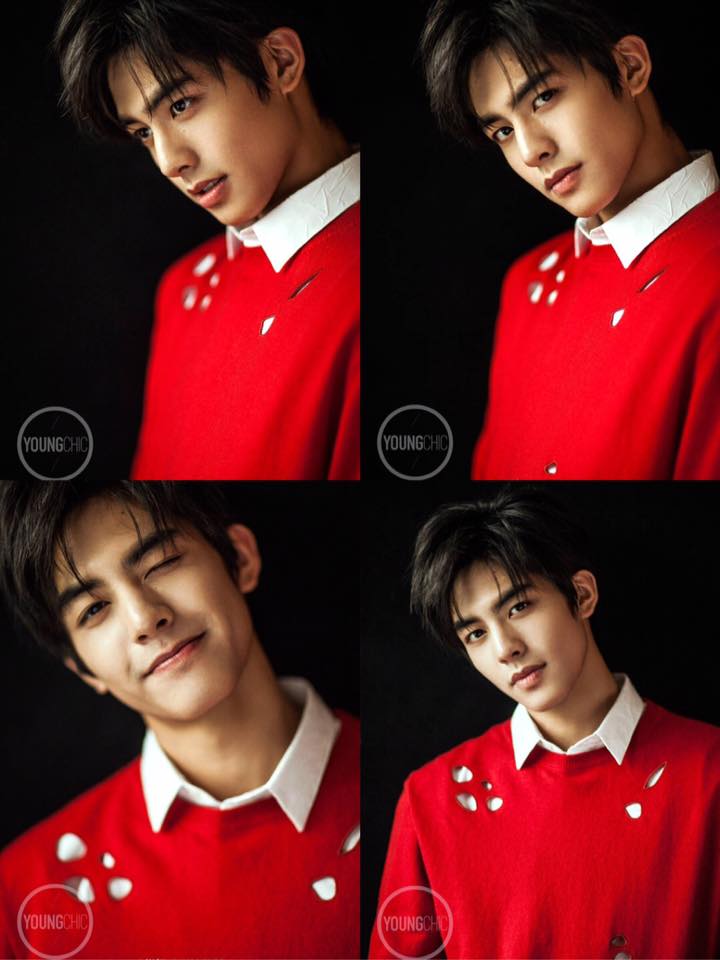 หล่อบ่อีดูตนหัวใจข้อยแด่เนาะ,ซงเว่ยหลง นักแสดงหนุ่มสุดหล่อวัย 18 ปีจากประเทศจีน