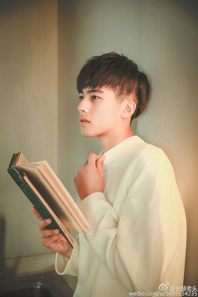 หล่อบ่อีดูตนหัวใจข้อยแด่เนาะ,ซงเว่ยหลง นักแสดงหนุ่มสุดหล่อวัย 18 ปีจากประเทศจีน