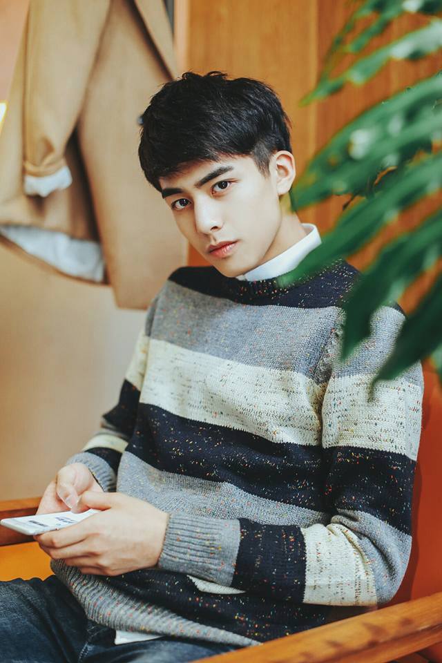 หล่อบ่อีดูตนหัวใจข้อยแด่เนาะ,ซงเว่ยหลง นักแสดงหนุ่มสุดหล่อวัย 18 ปีจากประเทศจีน