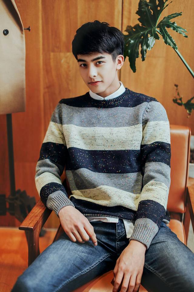 หล่อบ่อีดูตนหัวใจข้อยแด่เนาะ,ซงเว่ยหลง นักแสดงหนุ่มสุดหล่อวัย 18 ปีจากประเทศจีน