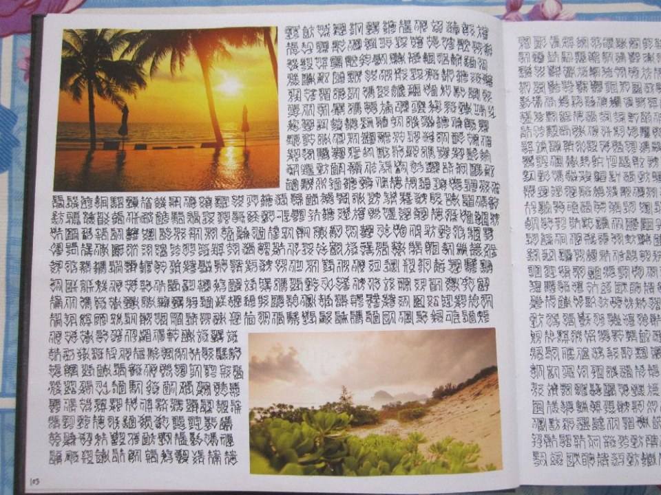ตัวหนังสือแปลกๆ