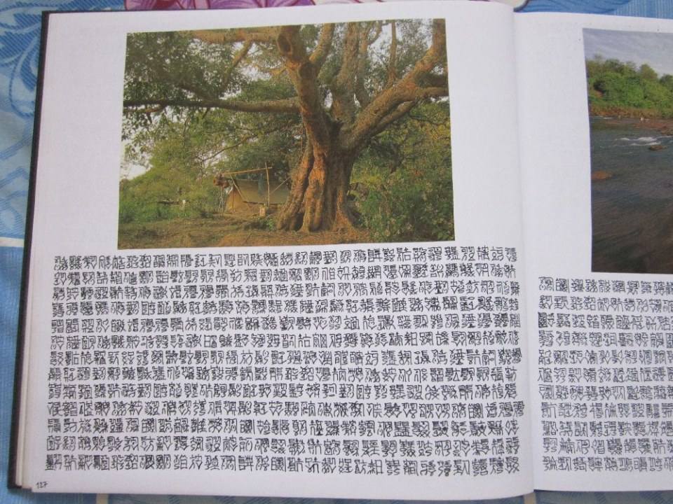 ตัวหนังสือแปลกๆ