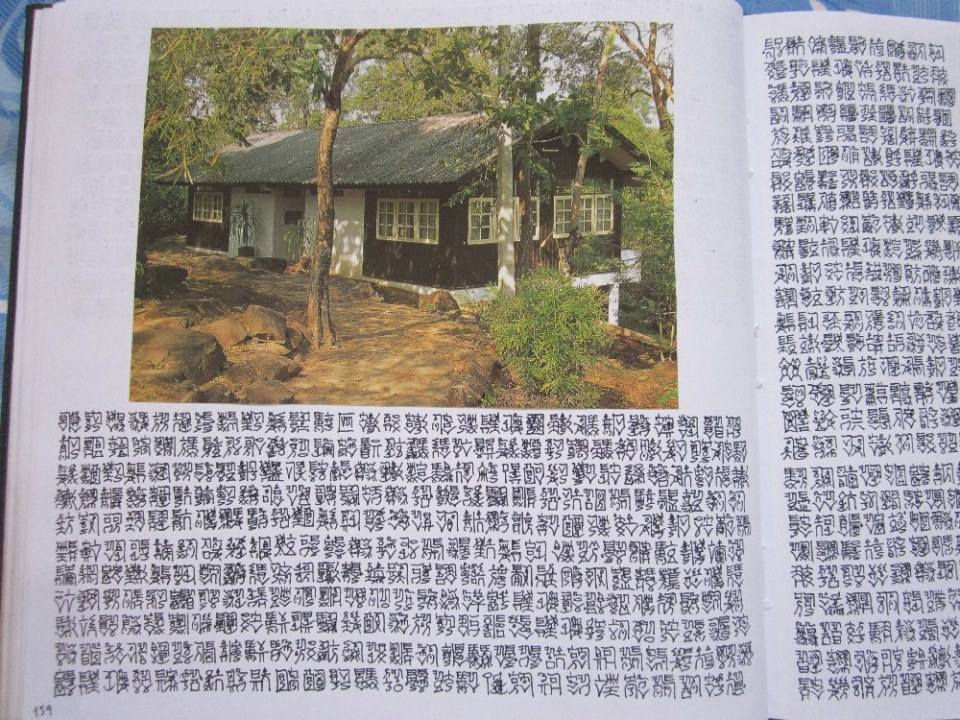 ตัวหนังสือแปลกๆ