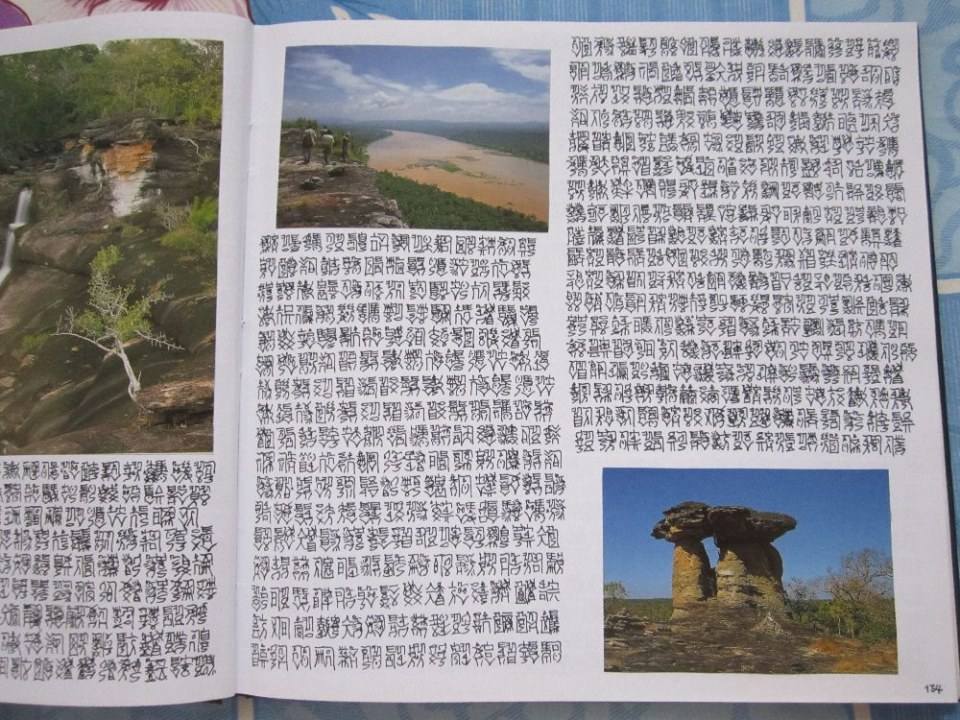 ตัวหนังสือแปลกๆ