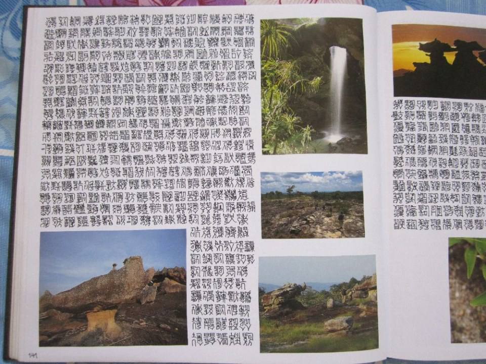 ตัวหนังสือแปลกๆ