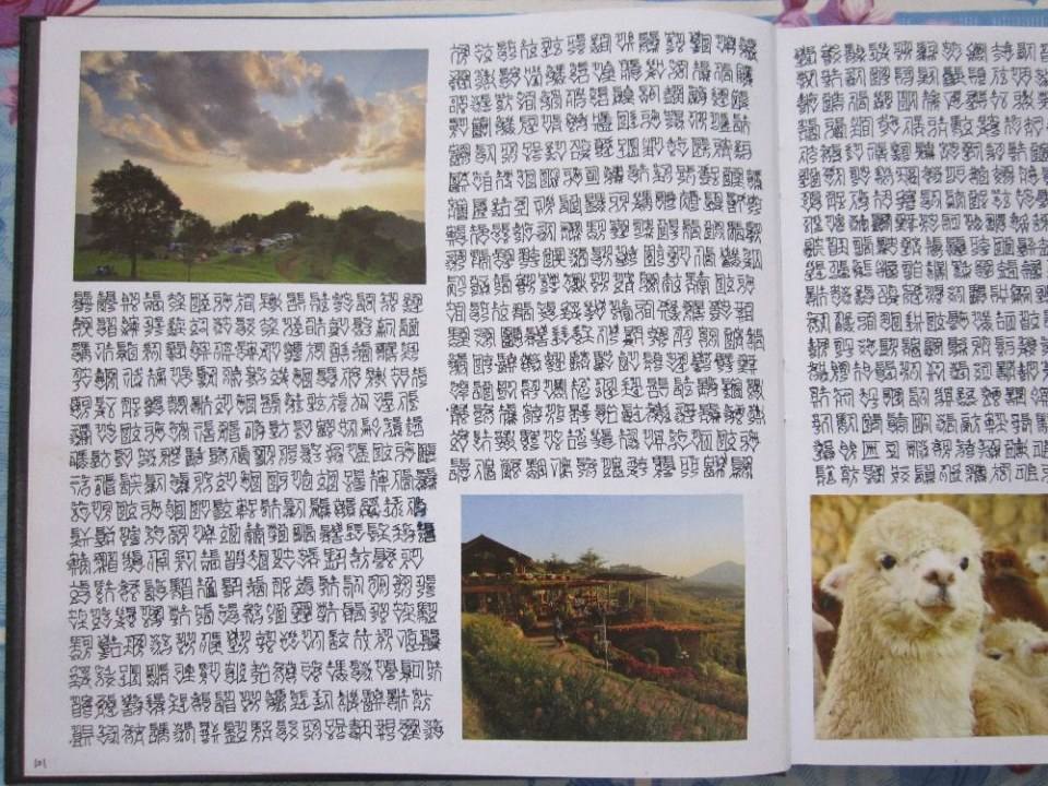 ตัวหนังสือแปลกๆ