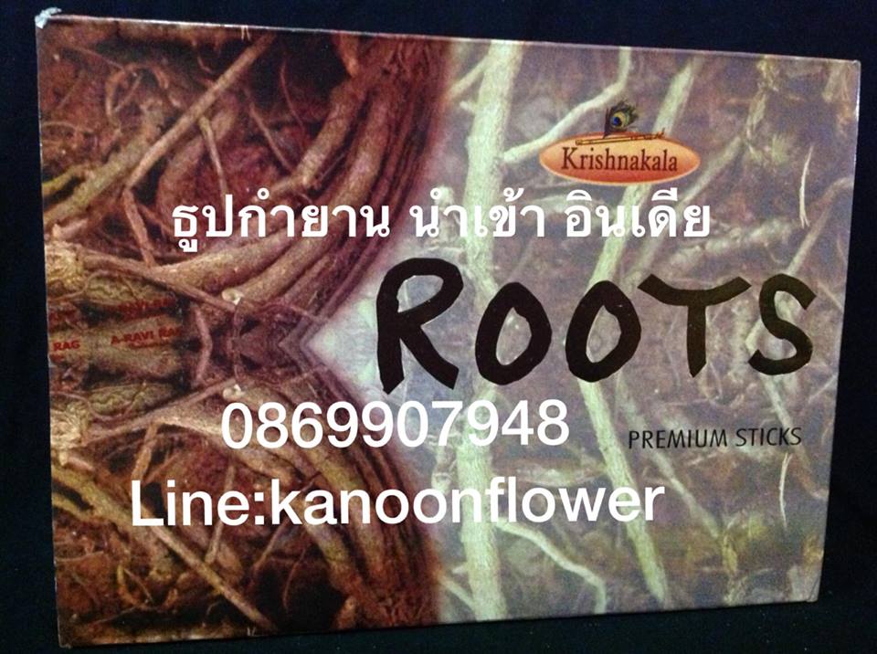 ตั้งศาล ถอนศาล บวงสรวง ลงเสาเอก ขึ้นเสาเข็ม พิธีกรรมต่างๆ