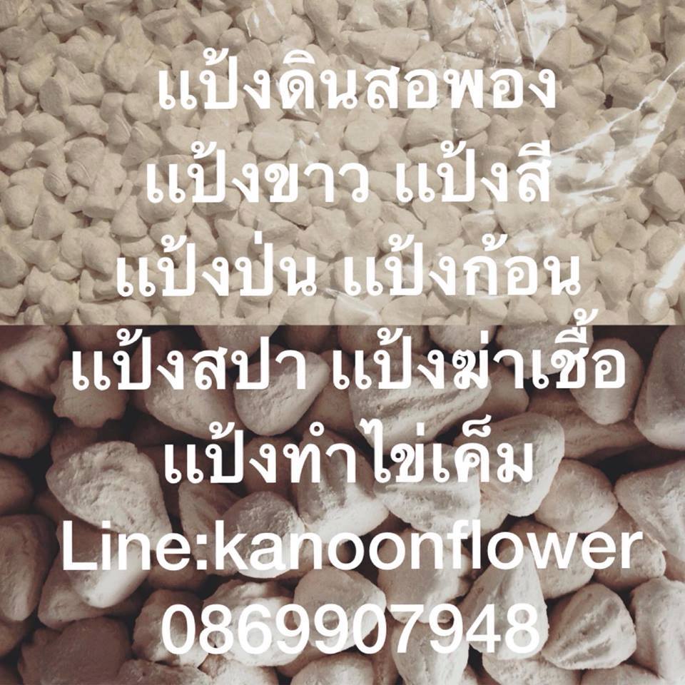 ตั้งศาล ถอนศาล บวงสรวง ลงเสาเอก ขึ้นเสาเข็ม พิธีกรรมต่างๆ