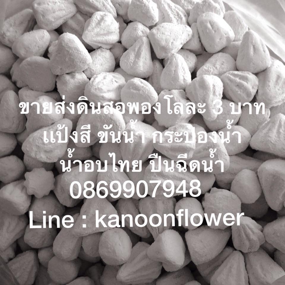 ตั้งศาล ถอนศาล บวงสรวง ลงเสาเอก ขึ้นเสาเข็ม พิธีกรรมต่างๆ