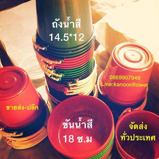 ตั้งศาล ถอนศาล บวงสรวง ลงเสาเอก ขึ้นเสาเข็ม พิธีกรรมต่างๆ