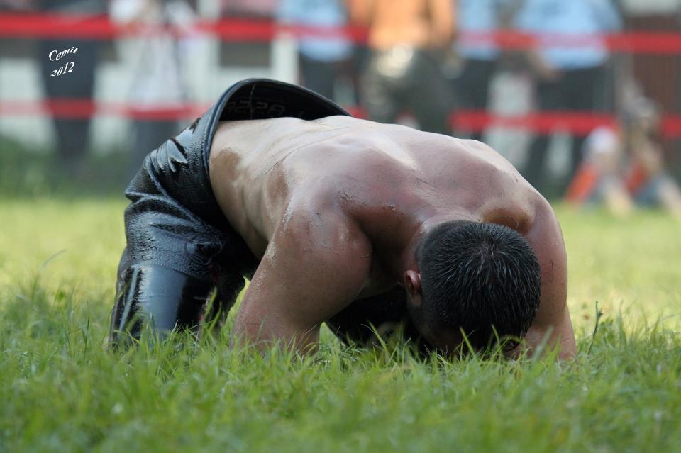 oil wrestling
