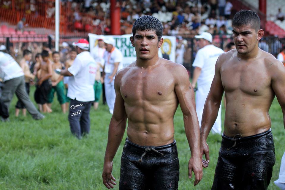 oil wrestling