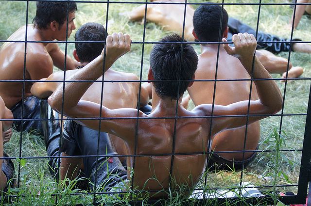 oil wrestling