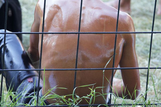 oil wrestling