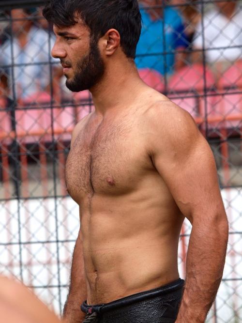 oil wrestling