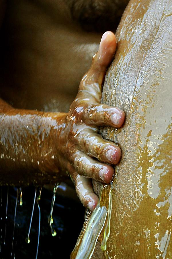 oil wrestling