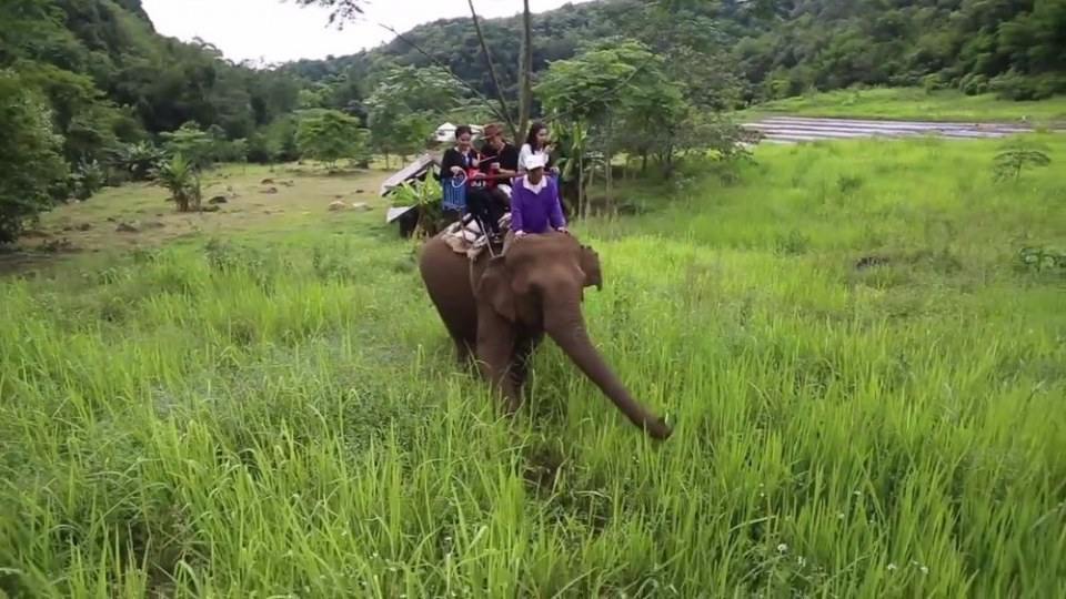 สะบายดีพี่น้องลาว+ไทย,ขอแนะน้ำสถานที่ท่องเที่ยว(น้ำกัดยอละปา,เมืองไช,แขวงอุดมไช สปปลาว,ນ້ຳກັດຢໍລະປາ,แຂວງອຸດົມໄຊ