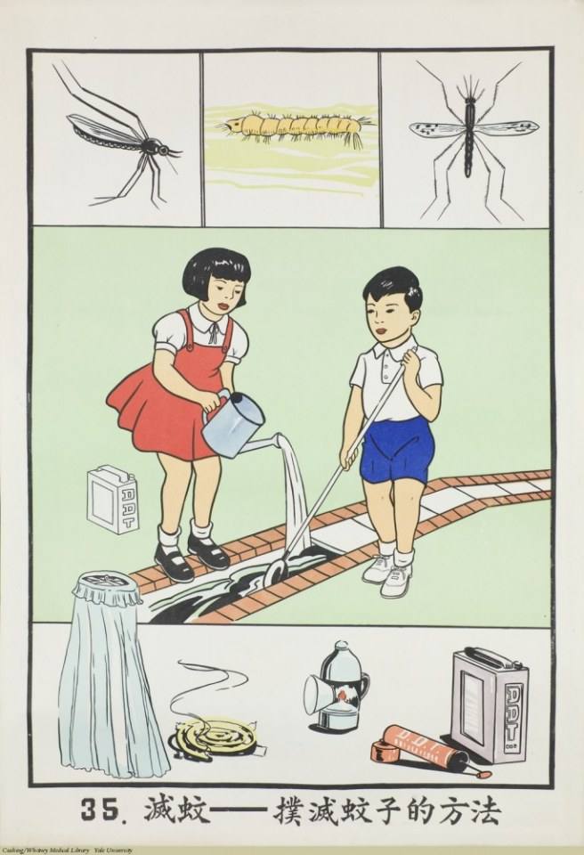 จากหนังสือที่เคยเล่าเรียนในวัยเด็ก
