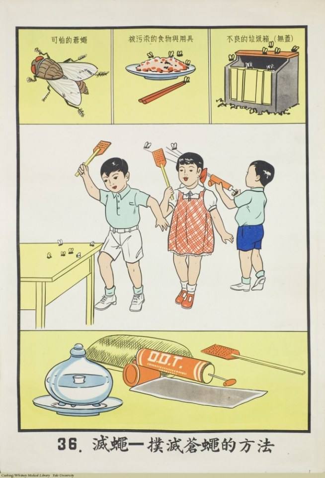 จากหนังสือที่เคยเล่าเรียนในวัยเด็ก