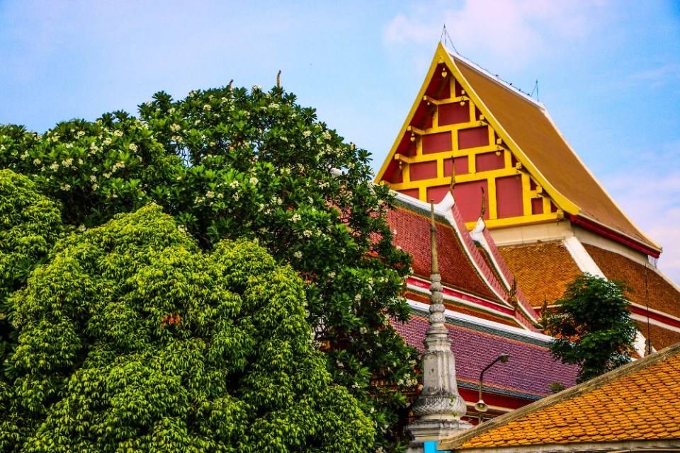 อย่านอนอย่างเดียว