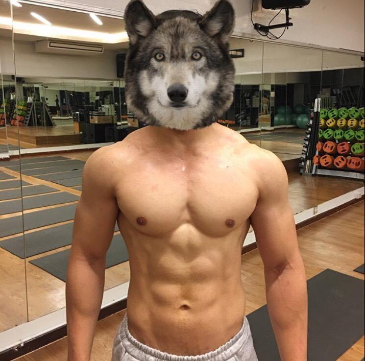 หนุ่มหล่อ✦cute boy✦ดีต่อใจ❥233 (อายุ 19 กล้ามแน่นขนาดนี้)